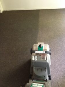 Auckland Professional Carpet Cleaning Company