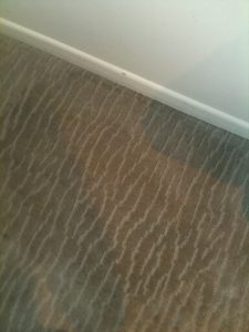 Silverdale carpet cleaner
