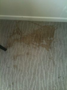 Silverdale carpet cleaning